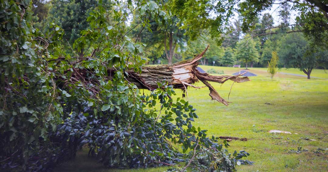 About Us 2 Prevent Unforseen Property Damage